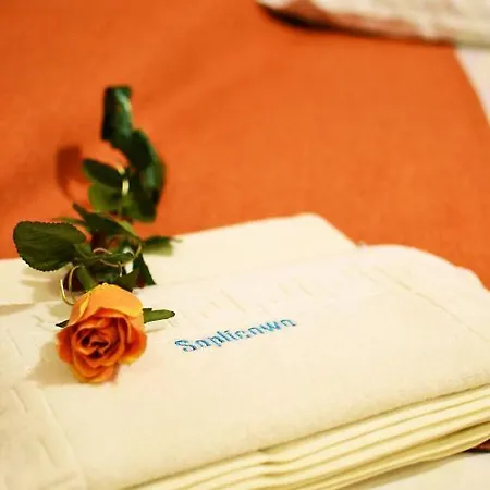 Guest house Soplicowo 3*